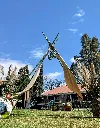 IMG_0209~2.webp